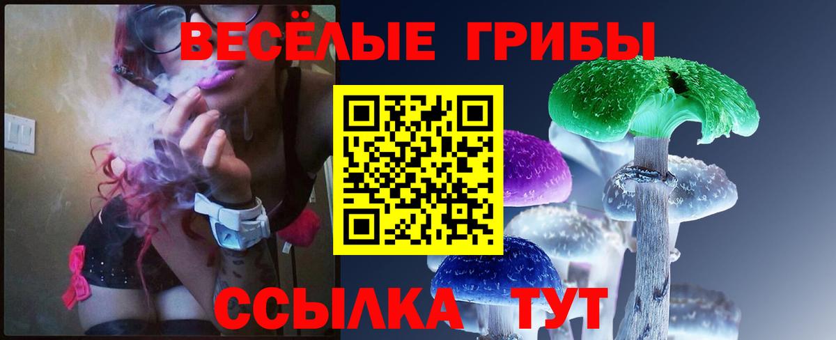 Псилоцибиновые грибы мухоморы  Галлюциногенные грибы ЛСД  Вход с VPN  Петрозаводск 